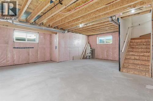 19 Everson Close, Red Deer, AB - Indoor Photo Showing Basement