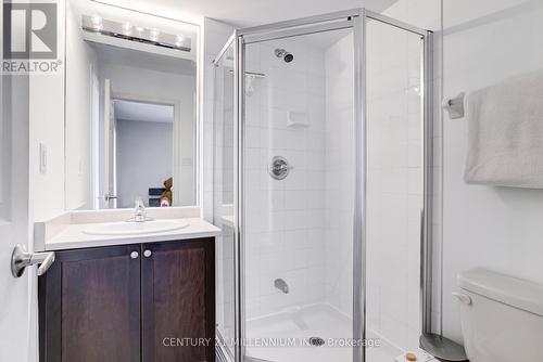 244 - 250 Sunny Meadow Boulevard, Brampton, ON - Indoor Photo Showing Bathroom