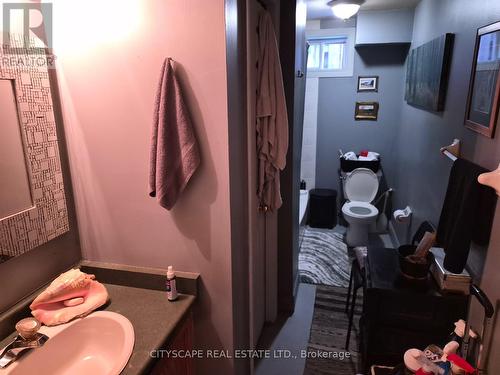 Bathroom in Basement - 60 Castlewood Place, Cambridge, ON - Indoor Photo Showing Bathroom