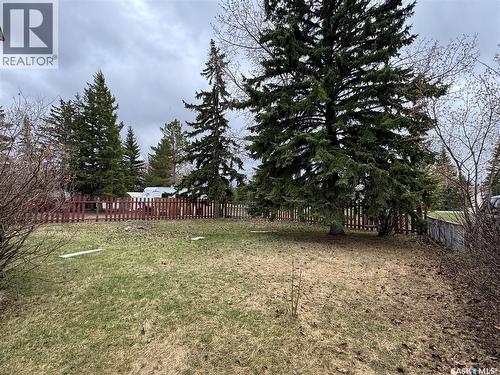 15 Willow Place, Lanigan, SK - Outdoor