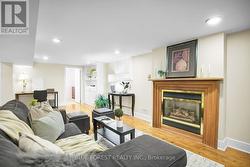 Lower level. 3rd fireplace - 