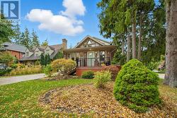 Large trees maintained by the city - 