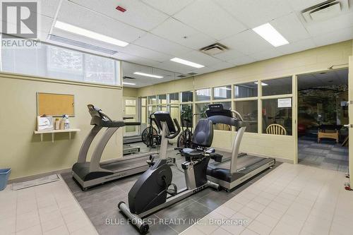 Work Out Space - 301 - 511 Gainsborough Road, London North (North F), ON - Indoor Photo Showing Gym Room