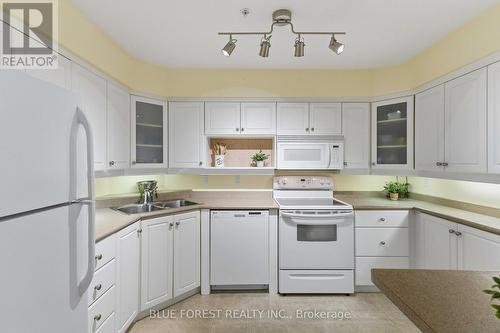 Lots of cupboard space and updated appliances - 301 - 511 Gainsborough Road, London North (North F), ON - Indoor Photo Showing Kitchen With Double Sink