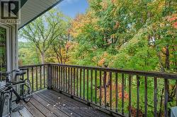 Balcony View in the Fall - 