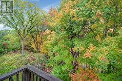Balcony View in the Fall - 