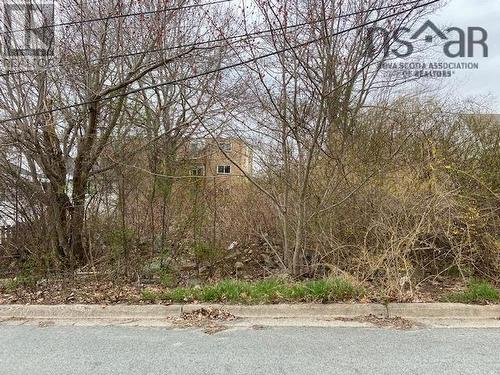 15 Springhill Drive, Dartmouth, NS 