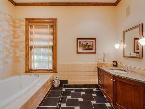 Bathroom - 199 Ch. Du Mont-Écho, Lac-Brome, QC - Indoor Photo Showing Bathroom