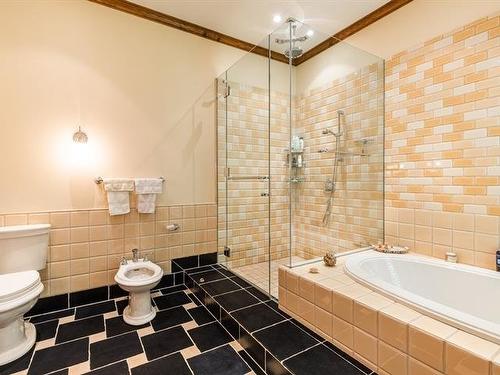 Bathroom - 199 Ch. Du Mont-Écho, Lac-Brome, QC - Indoor Photo Showing Bathroom