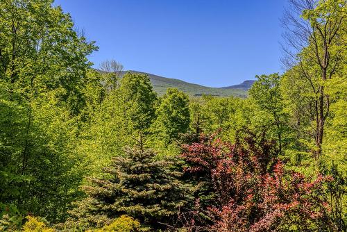 Exterior - 199 Ch. Du Mont-Écho, Lac-Brome, QC - Outdoor With View