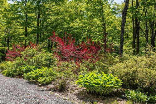 Exterior - 199 Ch. Du Mont-Écho, Lac-Brome, QC - Outdoor