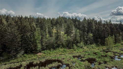 Lot 5 Robinson Rd, Salt Spring, BC 