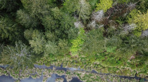 Lot 5 Robinson Rd, Salt Spring, BC 