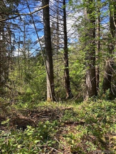 Lot 5 Robinson Rd, Salt Spring, BC 