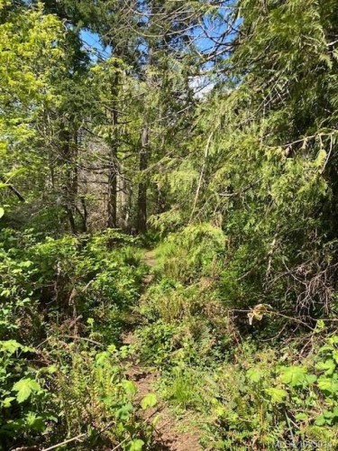Lot 5 Robinson Rd, Salt Spring, BC 
