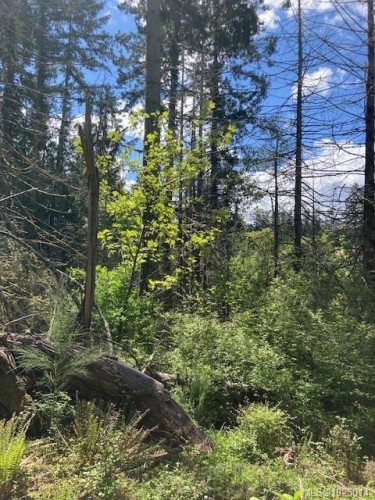 Lot 5 Robinson Rd, Salt Spring, BC 