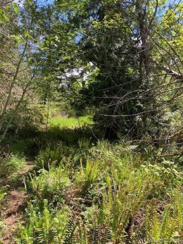 Lot 5 Robinson Rd, Salt Spring, BC 