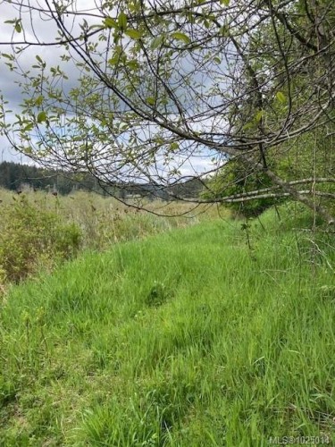 Lot 5 Robinson Rd, Salt Spring, BC 