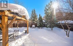 Winter Backyard - 