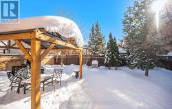 Winter Back Yard - 