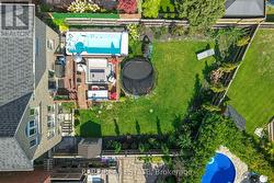 Recently Planted Mature Trees - 