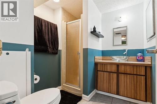 Ensuite - Lower - 147 Falchurch Crescent Ne, Calgary, AB - Indoor Photo Showing Bathroom