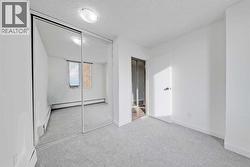 Mirror closet doors - 