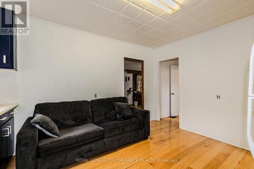 98 Boyce Avenue, Ottawa, ON - Indoor Photo Showing Living Room