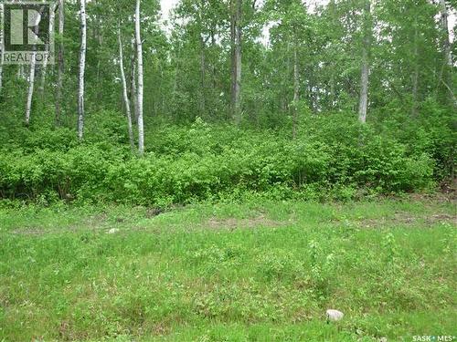 1 Smits Avenue, Saskatchewan River, SK 