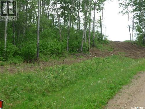 1 Smits Avenue, Saskatchewan River, SK 