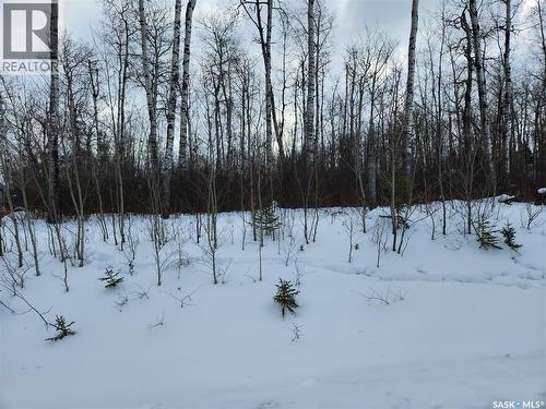 1 Smits Avenue, Saskatchewan River, SK 