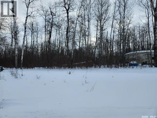 1 Smits Avenue, Saskatchewan River, SK 