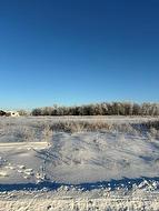 47 Sherwood Bay  Grunthal, MB R0A 0R0