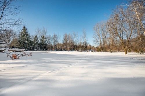 Cour - 175 Allée Des Cigales, Saint-Jean-Sur-Richelieu, QC - Outdoor With View