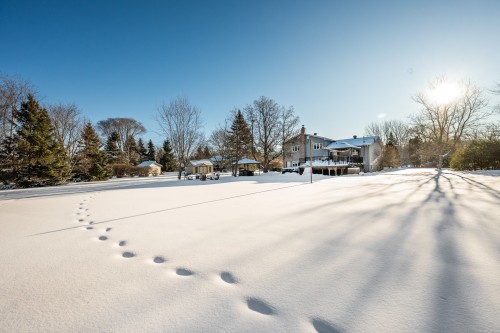 Cour - 175 Allée Des Cigales, Saint-Jean-Sur-Richelieu, QC - Outdoor With View