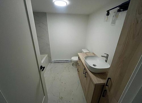Dwelling - 168  - 170 42E Avenue, Terrebonne (Terrebonne), QC - Indoor Photo Showing Bathroom