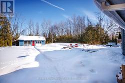 Backyard & Separate Garage - 