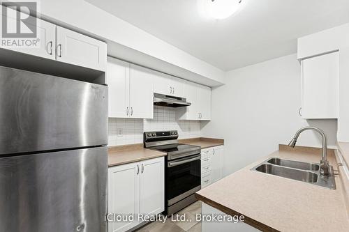 193 - 250 Sunny Meadow Boulevard, Brampton, ON - Indoor Photo Showing Kitchen With Double Sink