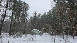 120 COLE ROAD  Havelock-Belmont-Methuen (Belmont-Methuen), ON K0L 1Z0