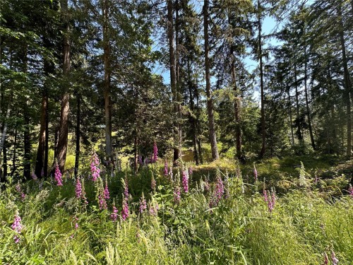 370 Baker Rd, Salt Spring, BC 