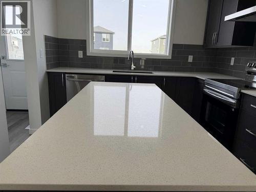 1961 Cornerstone Boulevard Ne, Calgary, AB - Indoor Photo Showing Kitchen With Upgraded Kitchen