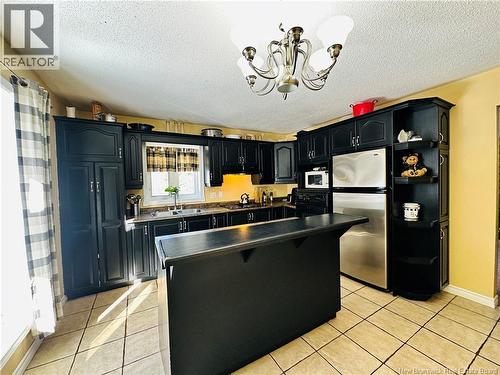 16 Hallihan Lane, Blackville, NB - Indoor Photo Showing Kitchen With Double Sink
