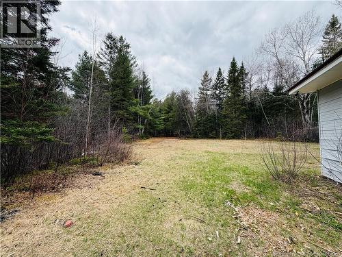 16 Hallihan Lane, Blackville, NB - Outdoor