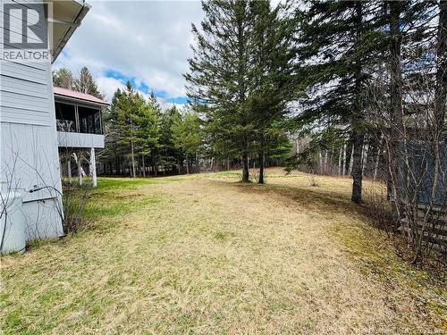 16 Hallihan Lane, Blackville, NB - Outdoor