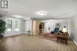 Lower Level: Massive Family Room with Walk Out - 