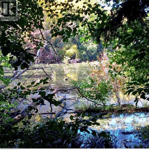 Fall view from basement window - 33 Manitoulin Crescent, Kitchener, ON - Outdoor