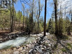 9100 Highway 22 Highway Genelle, BC V0G 1G0