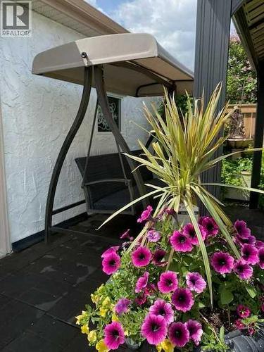 Summer flowers - 6311 Pineridge Road Ne, Calgary, AB - Outdoor