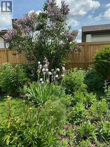 Garden plot - 6311 Pineridge Road Ne, Calgary, AB - Outdoor