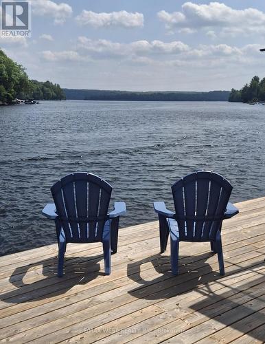 1017 RAYS LANE  Minden Hills, ON K0M 2K0